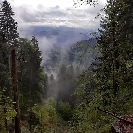 Himmelglueck - Familie Flatz